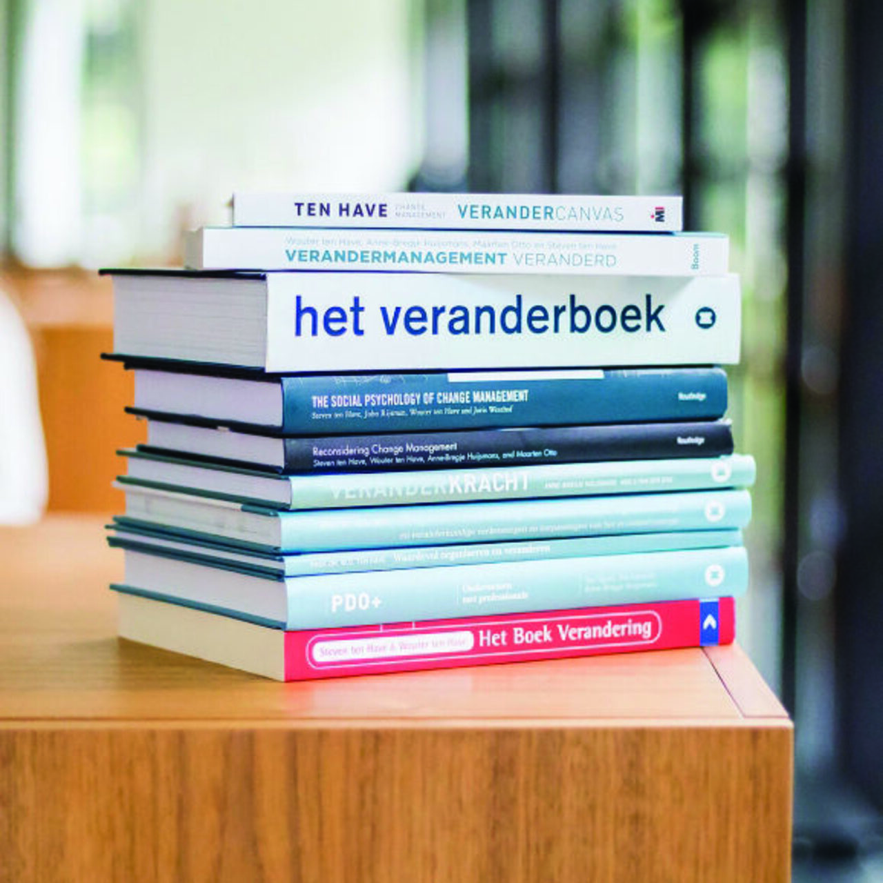 TenHaveCMVeranderkrachtboeken_square