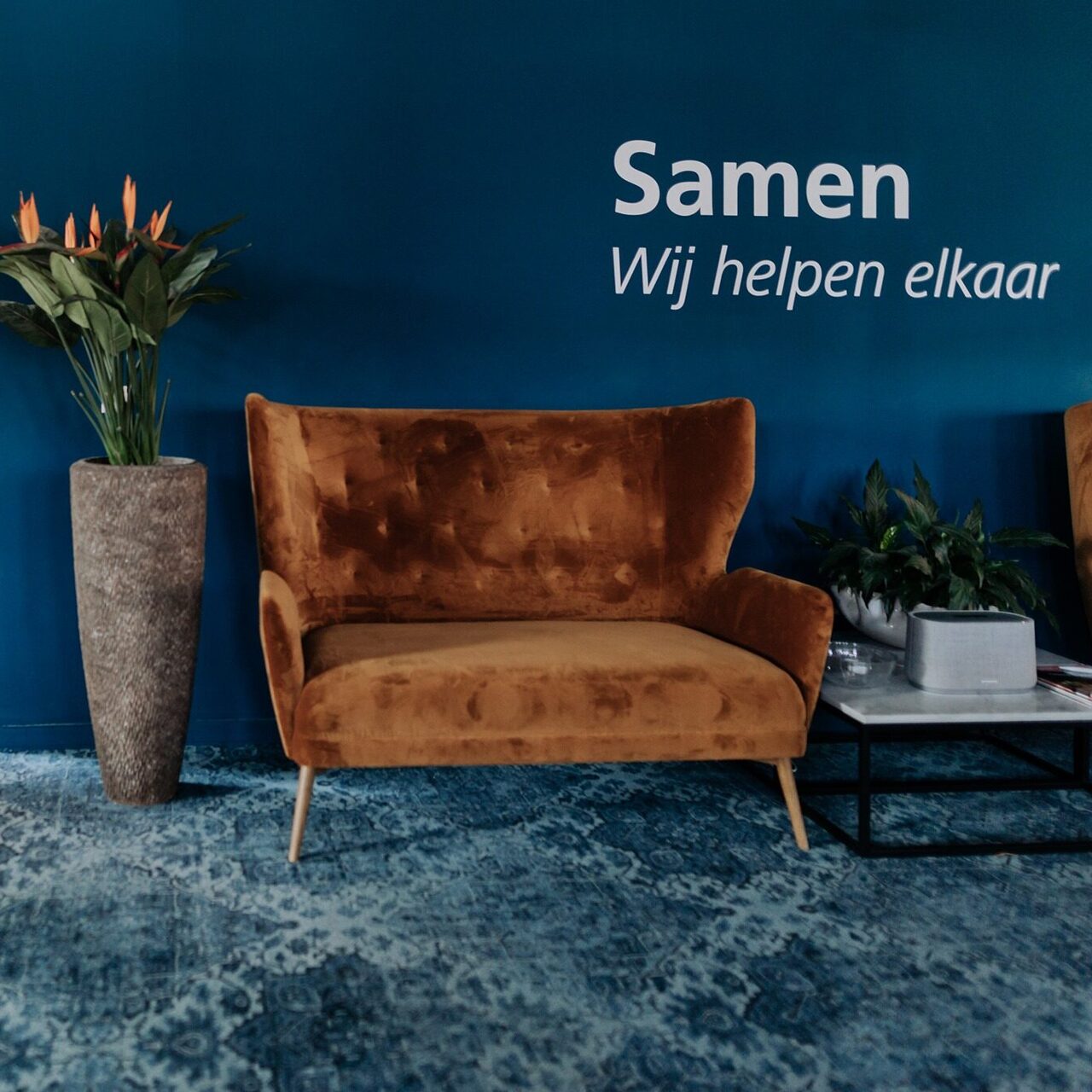 306540232_410253111217941_1200242764471686570_n